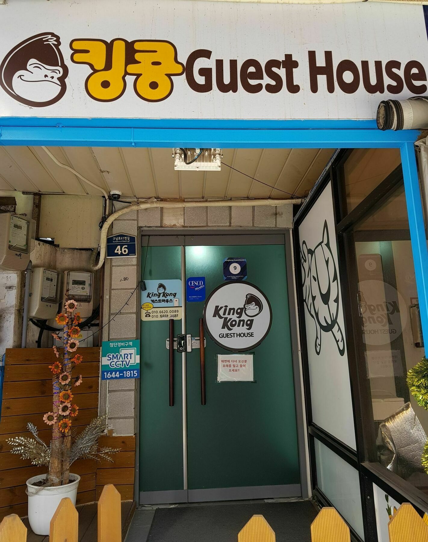 Kingkong Guesthouse Pusan Exteriér fotografie